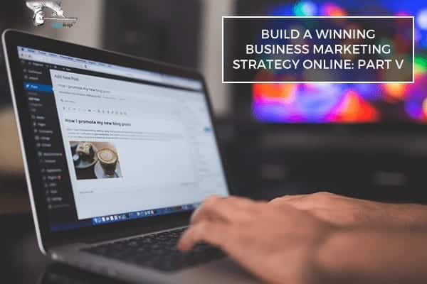 Build Winning Business Marketing Strategy Online Part V by Scope Design